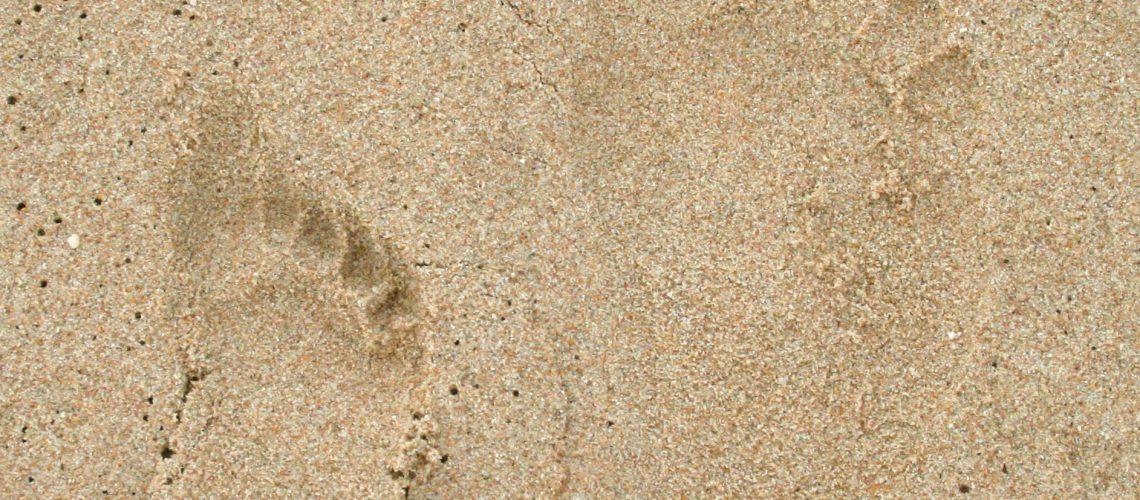 dad and kid sand footprints