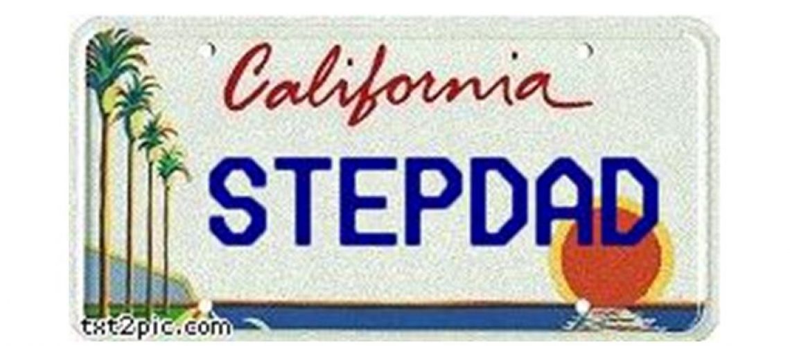 stepdadd license plate edit
